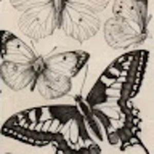 Meet your Posher, Meghan